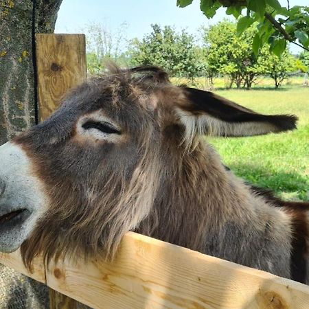 Gite Cocooning Avec Piscine Bouge-Chambalud Zewnętrze zdjęcie